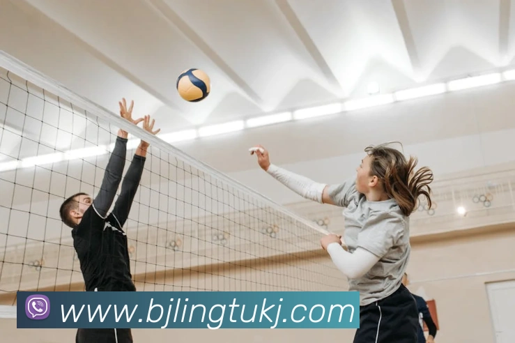 澳门百家乐网站平台生态图